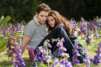 The Twilight Saga - Breaking Dawn 2